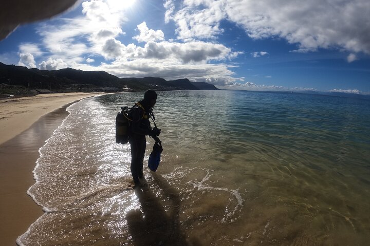 Discover Scuba Diving in Cape Town for Beginners - Photo 1 of 9